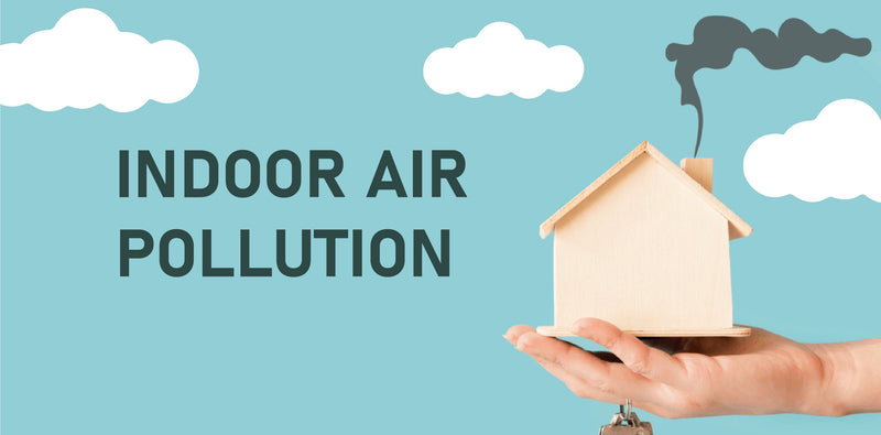Understanding Harmful Substances in the Indoor Air